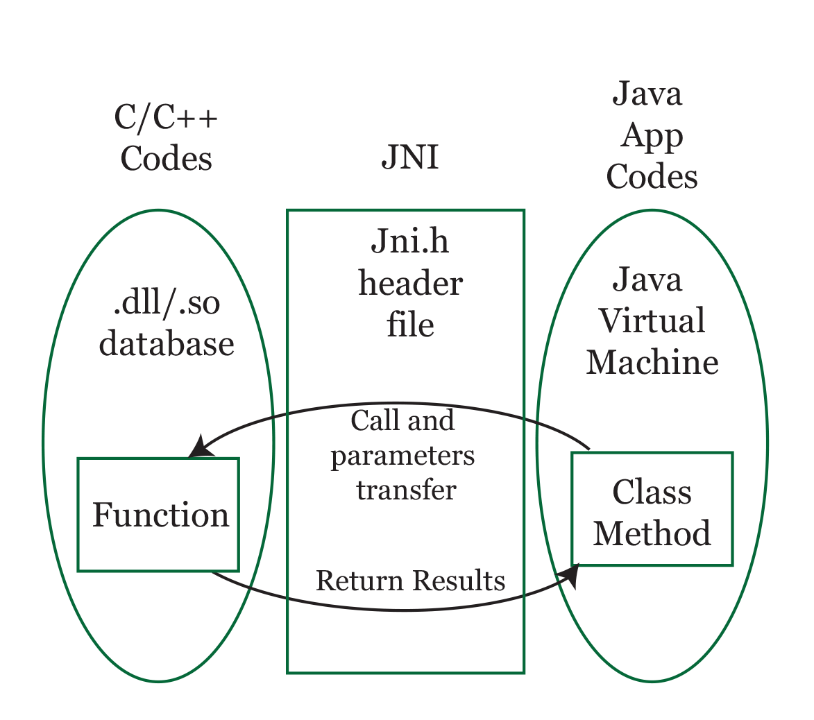 JNI Interface